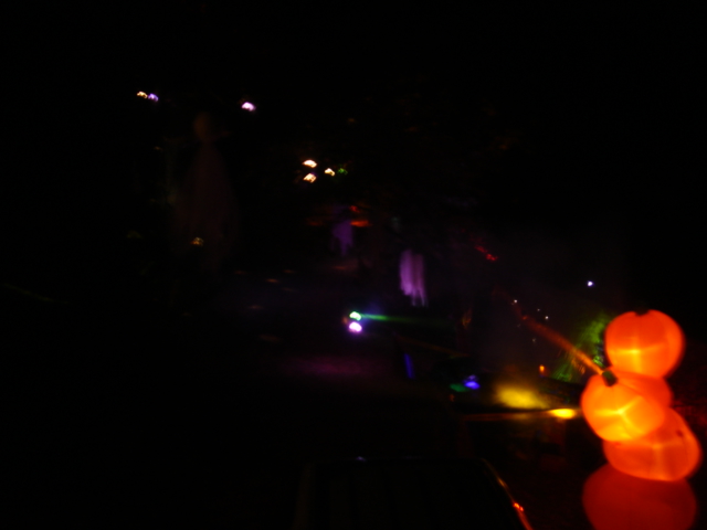 DSC00208