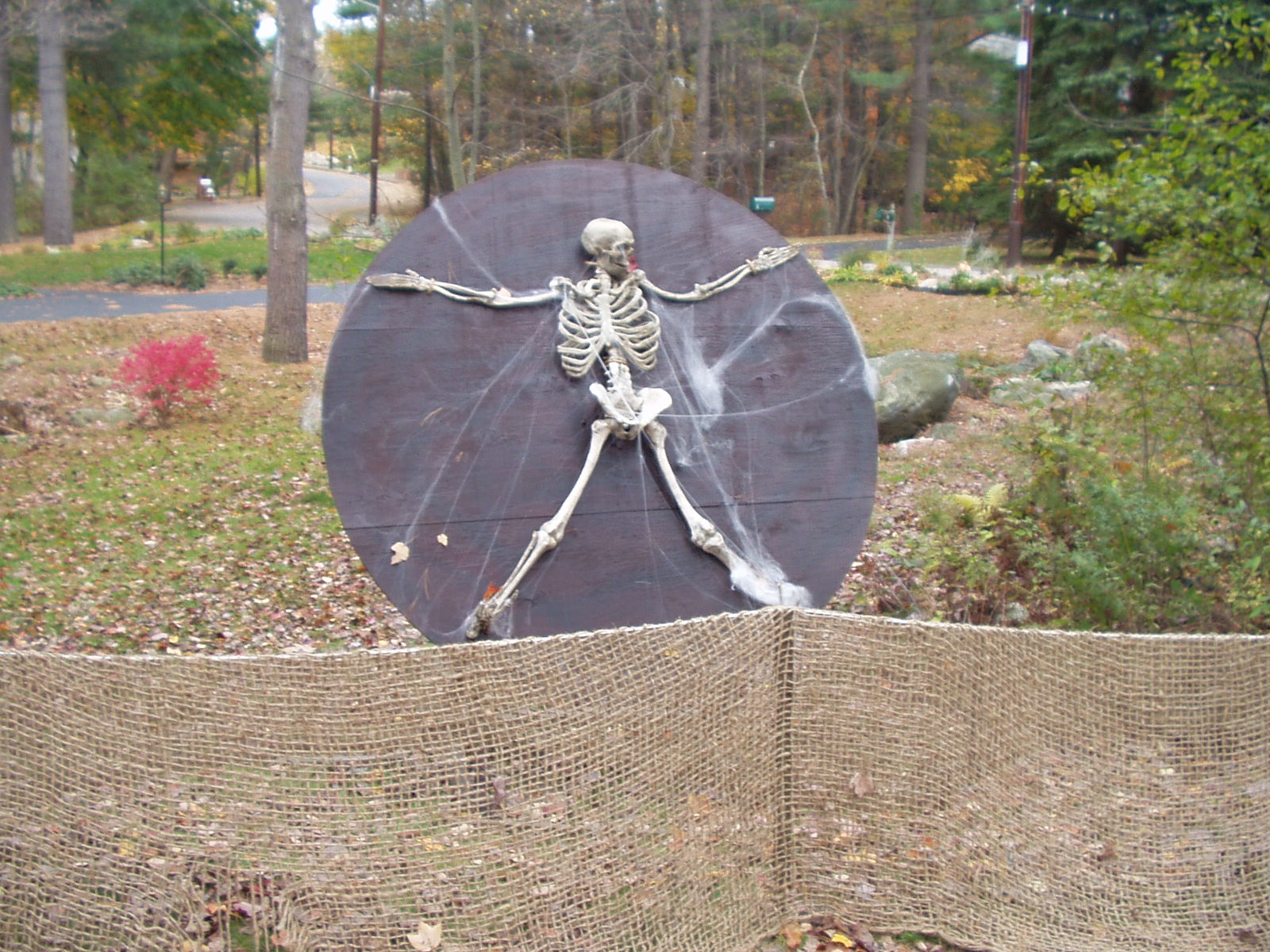 P1010046